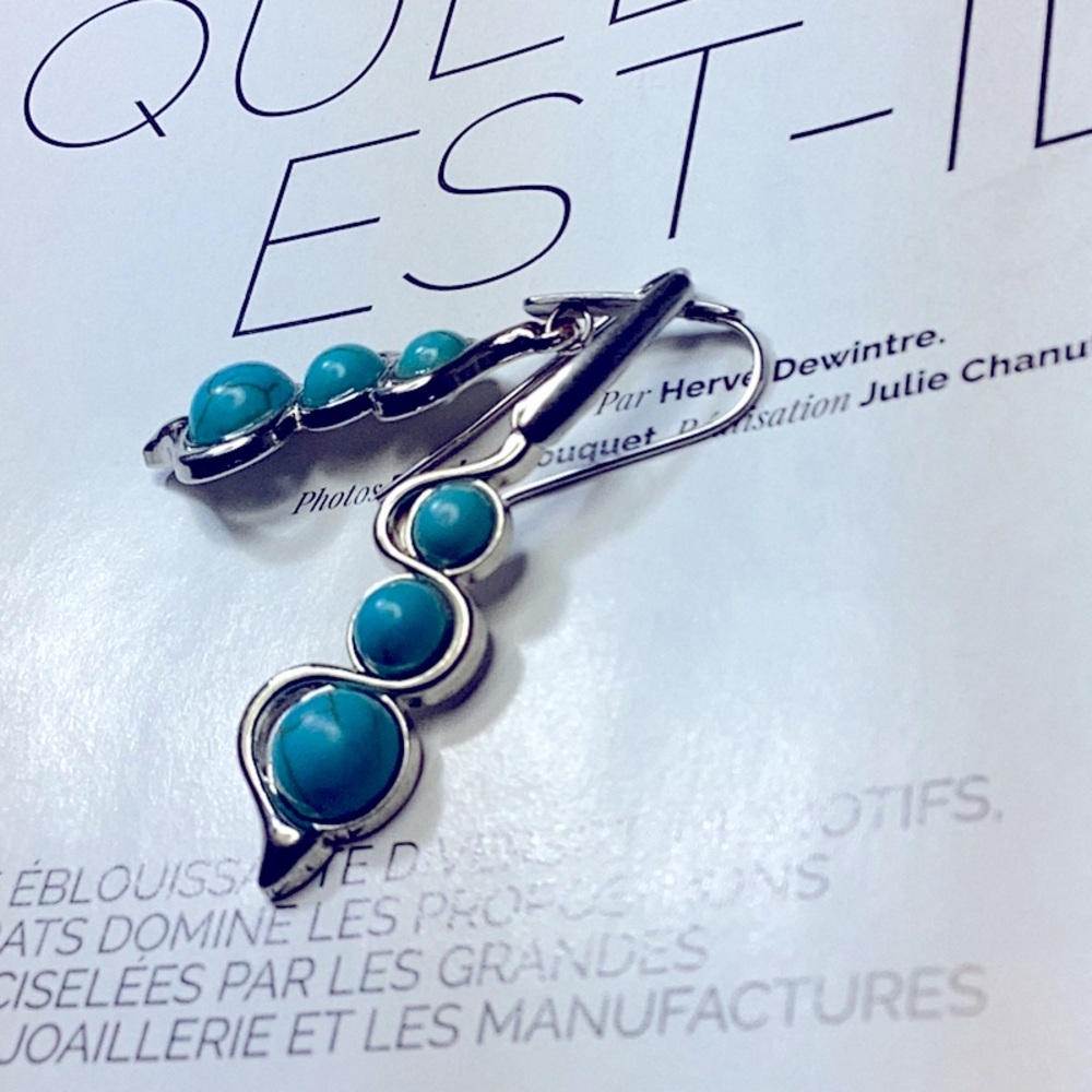 Silver Turquoise Long Earrings